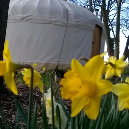 Gingerbread Cottage Yurts Dereham Kültér fotó