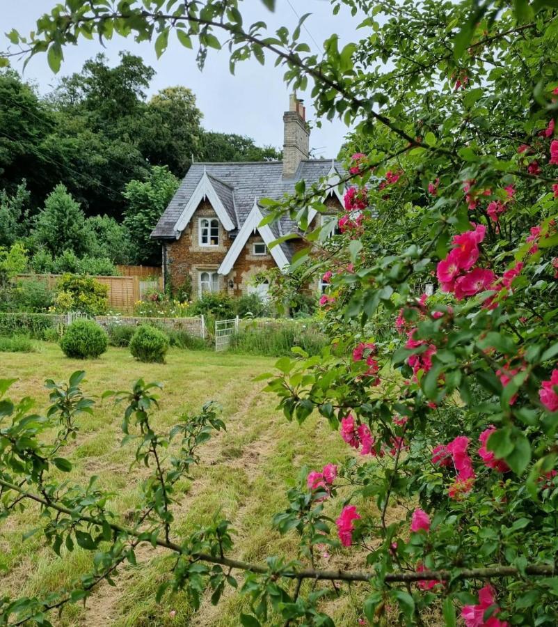 Gingerbread Cottage Yurts Dereham Kültér fotó