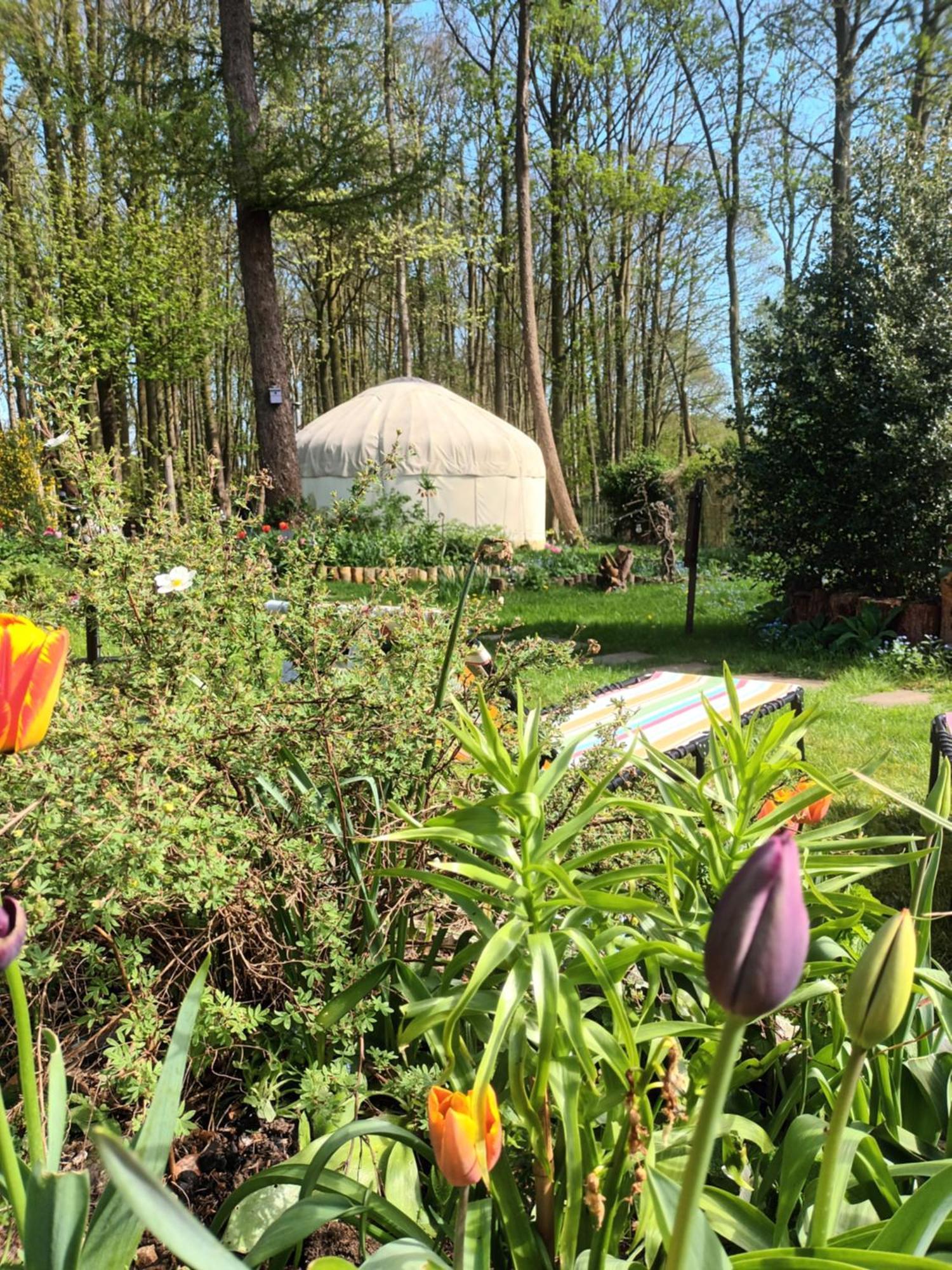 Gingerbread Cottage Yurts Dereham Kültér fotó