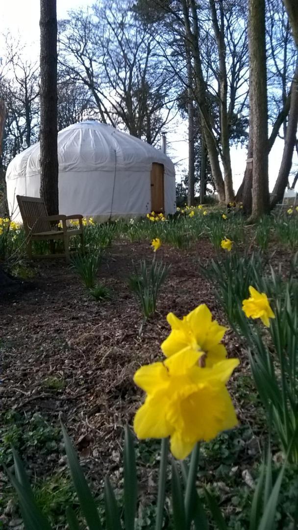 Gingerbread Cottage Yurts Dereham Kültér fotó