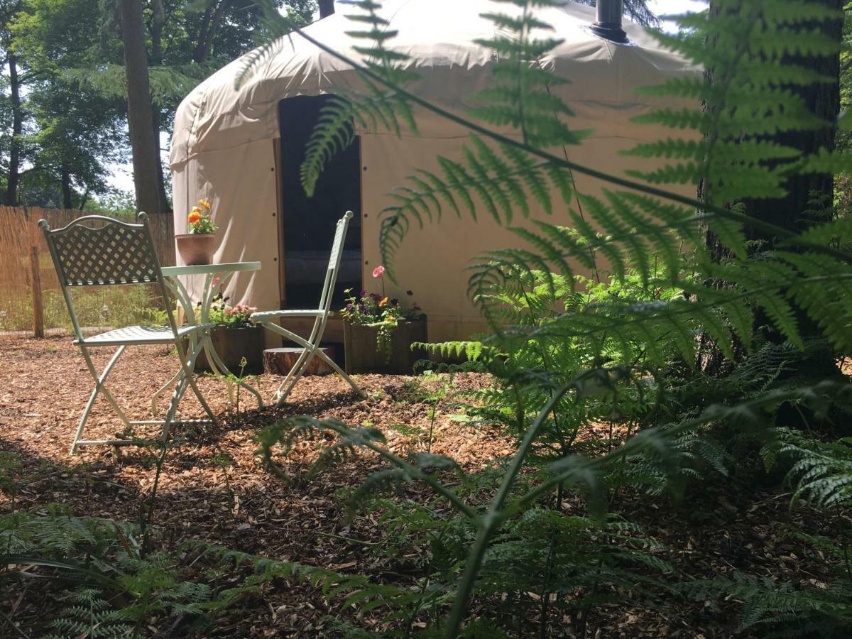 Gingerbread Cottage Yurts Dereham Kültér fotó