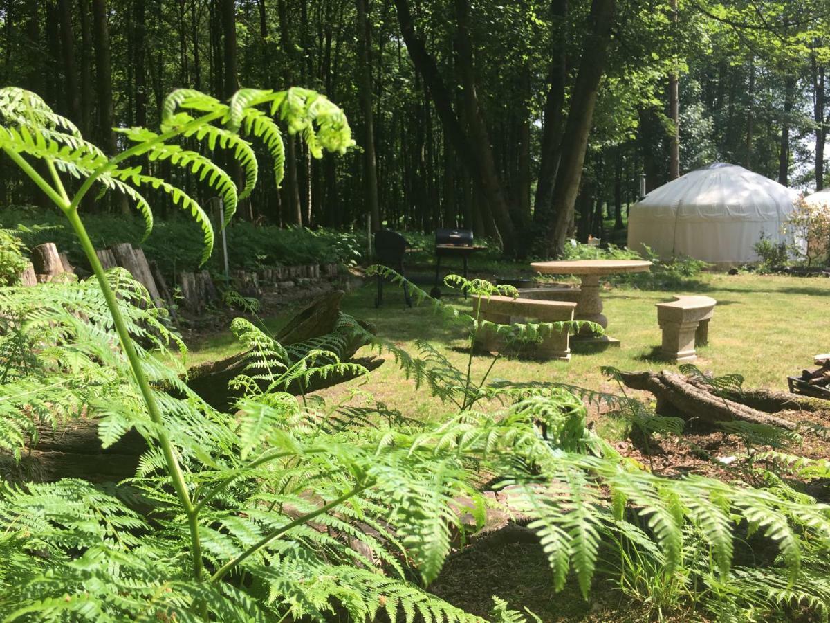 Gingerbread Cottage Yurts Dereham Kültér fotó