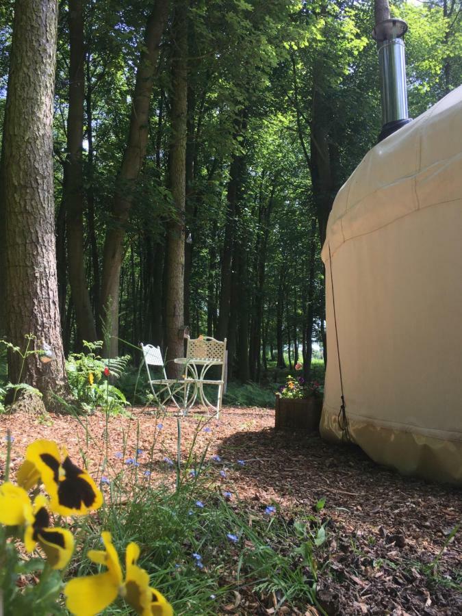 Gingerbread Cottage Yurts Dereham Kültér fotó